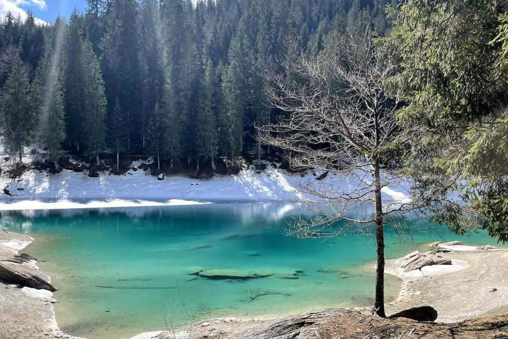 Swiss Chalet Near Flims Trin ภายนอก รูปภาพ